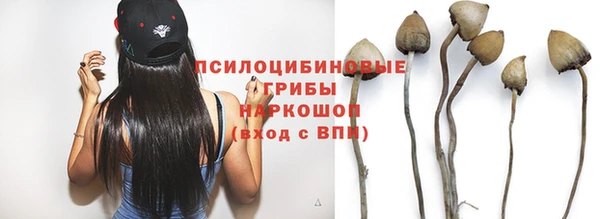 марки nbome Баксан