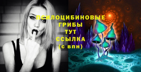спиды Балахна