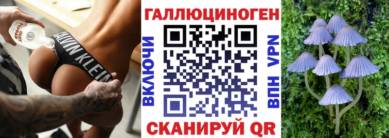 Галлюциногенные грибы Psilocybine cubensis  Городец 